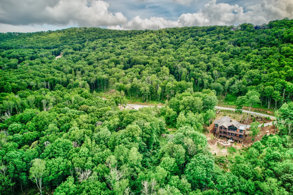 A broad view of the property nestled against a sweeping forest backdrop, with the large wooden house and a winding road heading toward the trees. The setting evokes direct access to hiking and biking, surrounded by nature and expansive wilderness.